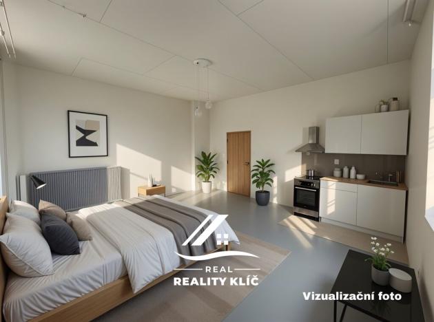Pronájem bytu 1+kk, Ostrava, Stará cesta, 37 m2