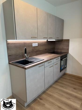 Pronájem bytu 1+1, Příbram - Příbram VII, Prof. Skupy, 35 m2