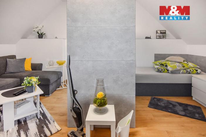 Pronájem bytu 1+kk, Plazy, 30 m2