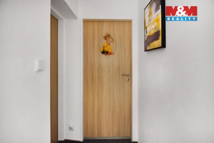 Pronájem bytu 1+kk, Plazy, 30 m2