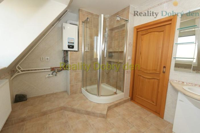 Pronájem bytu 4+kk, Opava, Bochenkova, 178 m2