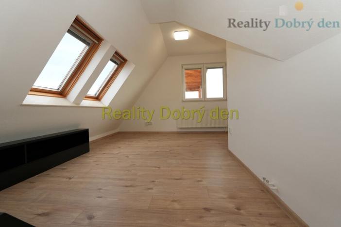 Pronájem bytu 4+kk, Opava, Bochenkova, 178 m2