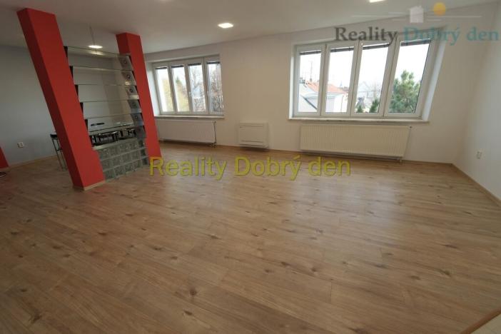 Pronájem bytu 4+kk, Opava, Bochenkova, 178 m2