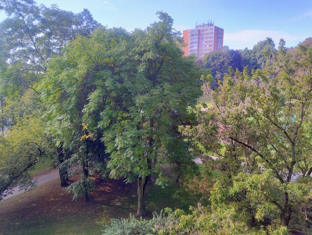 Prodej bytu 3+1, Praha - Kobylisy, Paláskova, 65 m2