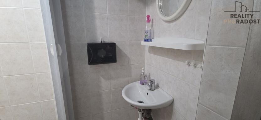 Pronájem obchodního prostoru, Hodonín, Štefánikova, 50 m2