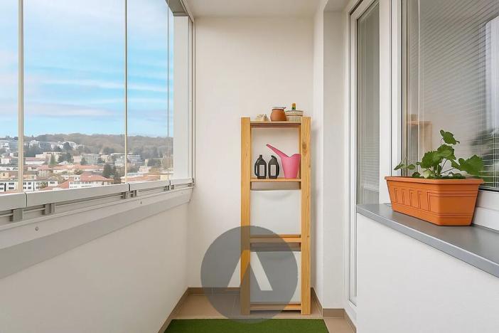 Prodej bytu 2+1, Brno, Luční, 57 m2