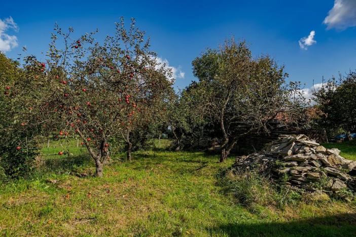 Prodej rodinného domu, Zámrsk, 130 m2