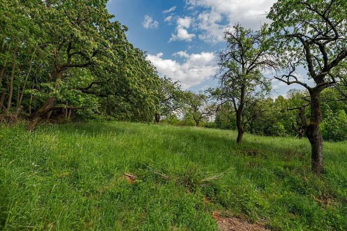 Prodej pozemku pro bydlení, Veliny, 3712 m2