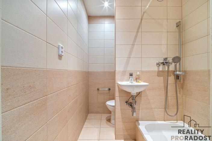 Pronájem bytu 1+1, Ostrava - Hrabůvka, U Haldy, 39 m2