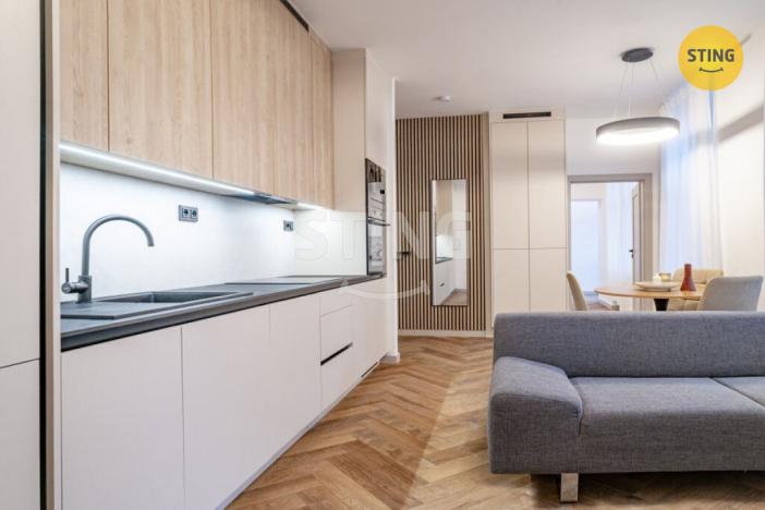 Pronájem bytu 2+kk, Ostrava, Nádražní, 47 m2