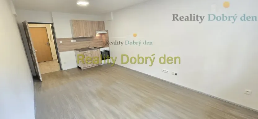 Pronájem bytu 1+kk, Opava, Hany Kvapilové, 30 m2