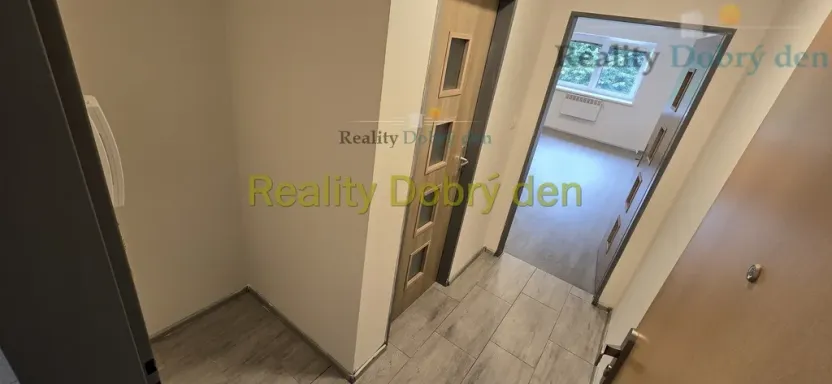 Pronájem bytu 1+kk, Opava, Hany Kvapilové, 30 m2