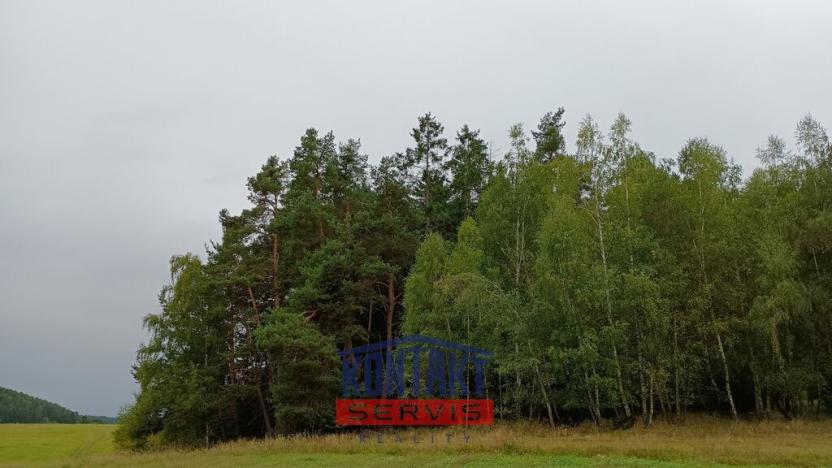 Prodej lesa, Budětice - Vlkonice, 32746 m2