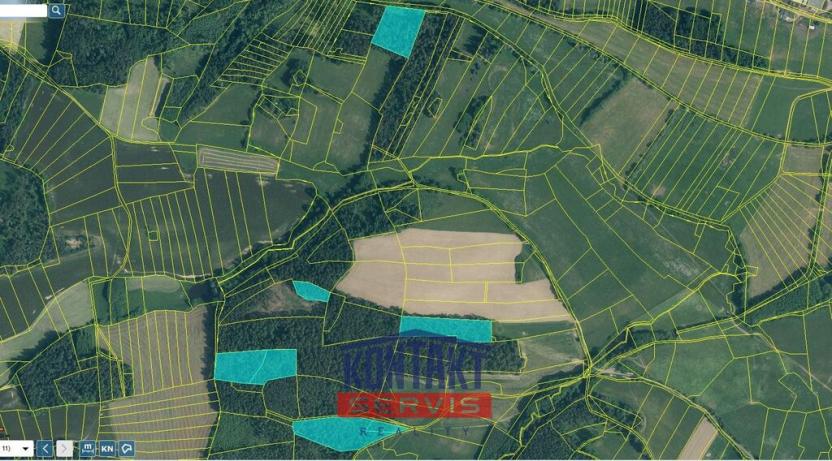 Prodej lesa, Budětice - Vlkonice, 32746 m2