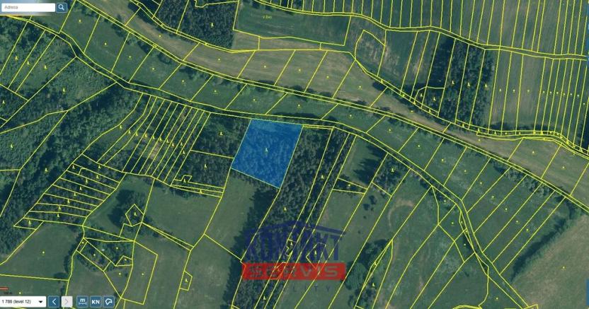 Prodej lesa, Budětice - Vlkonice, 32746 m2