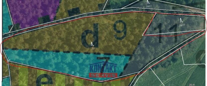 Prodej lesa, Budětice - Vlkonice, 32746 m2