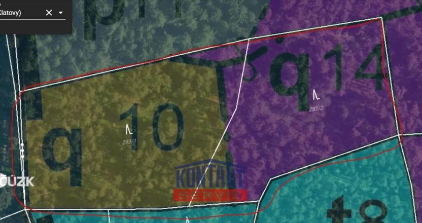 Prodej lesa, Budětice - Vlkonice, 32746 m2