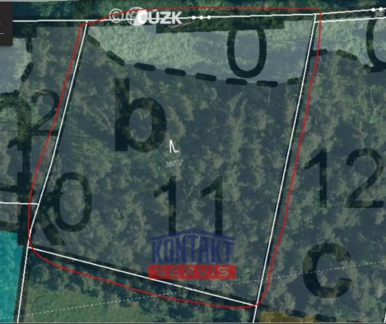 Prodej lesa, Budětice - Vlkonice, 32746 m2