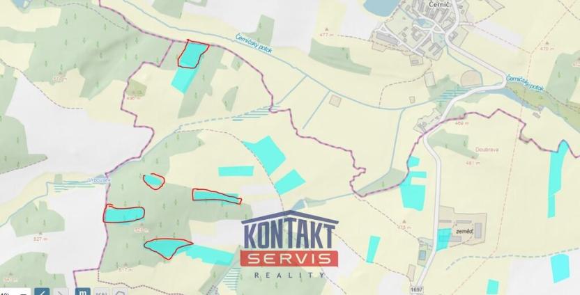 Prodej lesa, Budětice - Vlkonice, 32746 m2