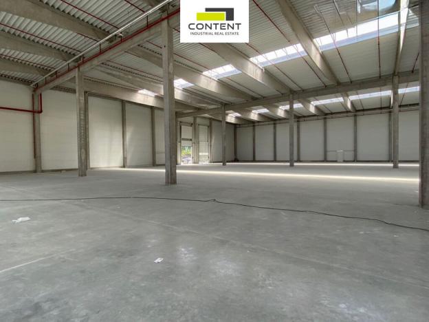 Pronájem výrobních prostor, Kolín - Kolín IV, Zengrova, 6200 m2