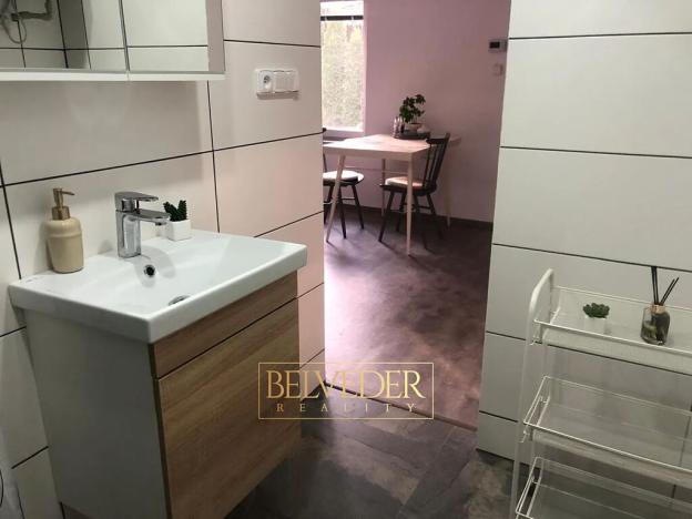 Pronájem bytu 1+kk, Teplice, Rokle, 32 m2