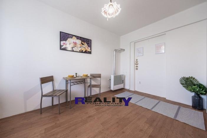 Pronájem bytu 2+1, Žatec, Purkyněho, 54 m2