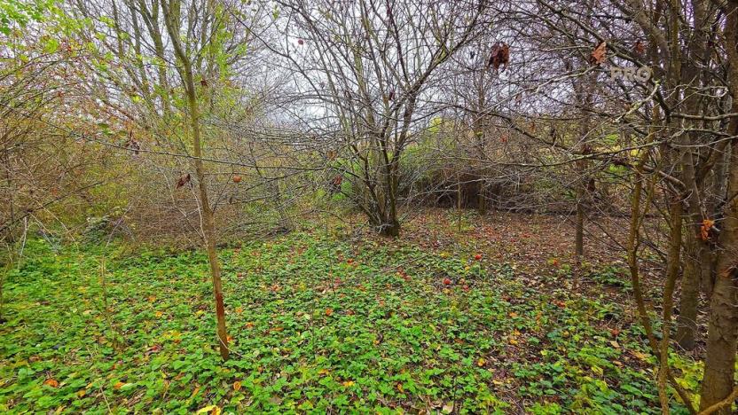 Prodej rodinného domu, Uhřice, 60 m2