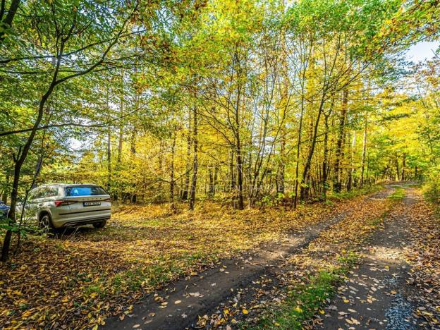 Prodej pozemku pro bydlení, Nové Dvory - Krámy, 3271 m2