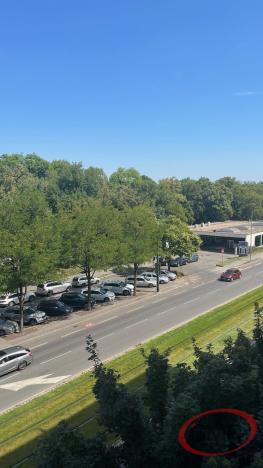 Pronájem bytu 3+1, Praha, Vinohradská, 110 m2