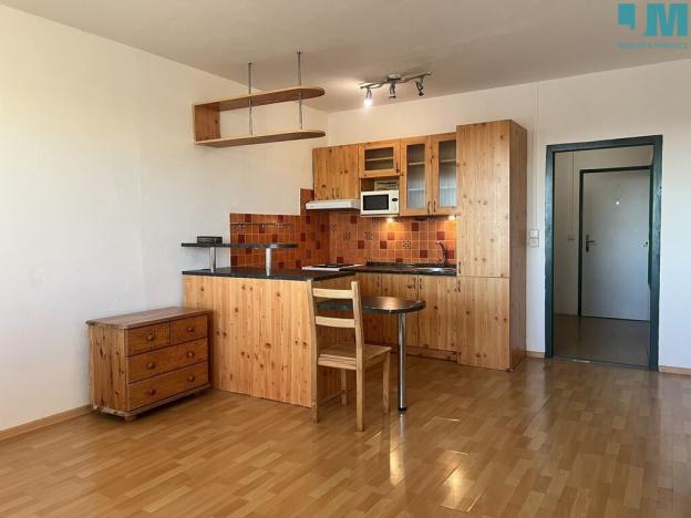 Pronájem bytu 1+kk, Olomouc, Voskovcova, 32 m2