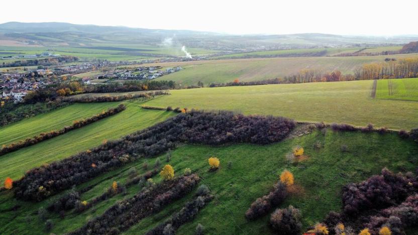 Prodej zahrady, Újezdec, 1891 m2