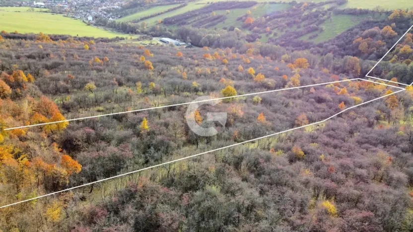 Prodej zahrady, Újezdec, 1891 m2