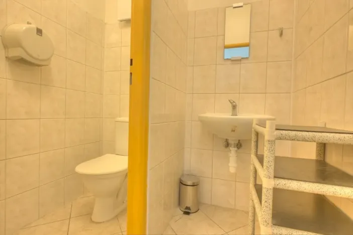 Prodej obchodního prostoru, Studenec, 265 m2