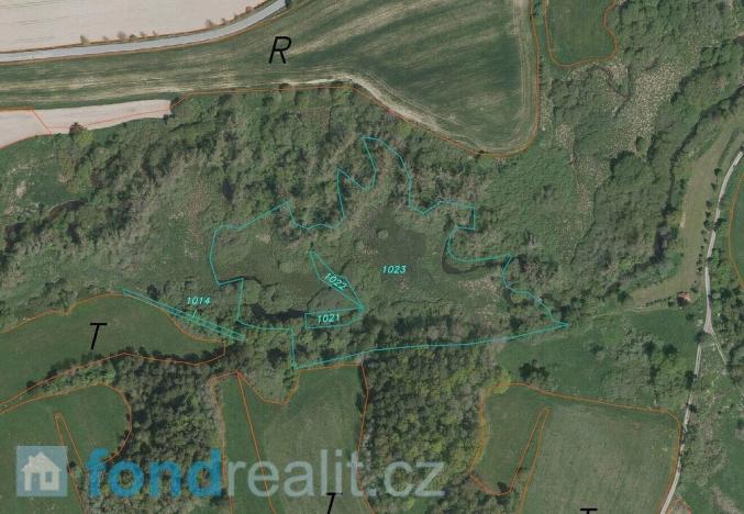 Prodej pozemku, Dolní Dvořiště - Rychnov nad Malší, 24285 m2