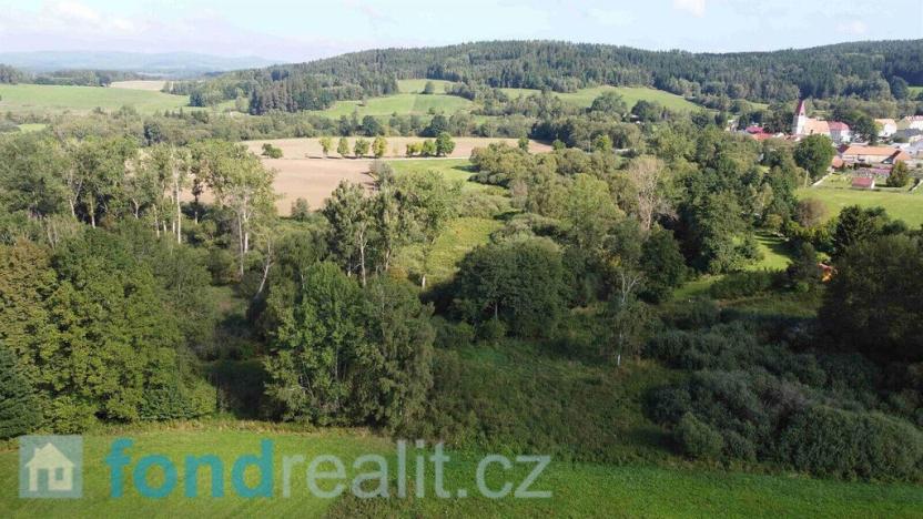 Prodej pozemku, Dolní Dvořiště - Rychnov nad Malší, 24285 m2