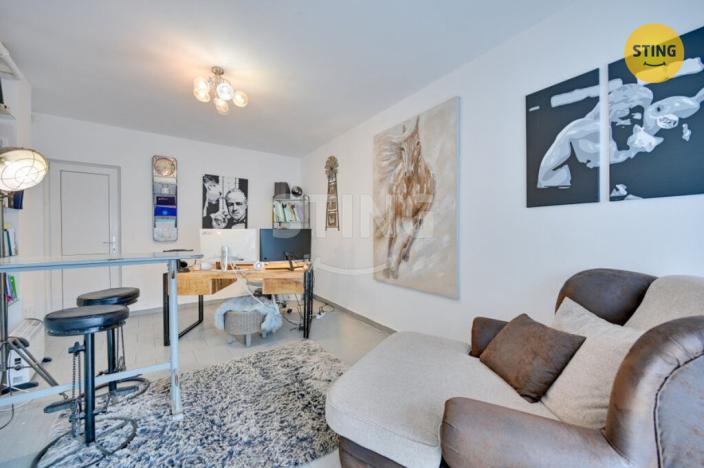 Pronájem rodinného domu, Mikulov, Bezručova, 204 m2