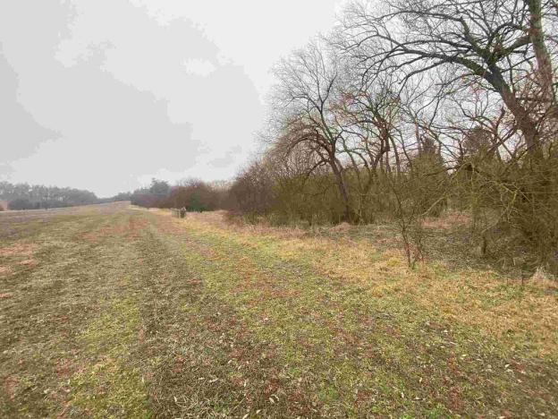 Prodej pozemku, Písečné - Marketa, 1097 m2