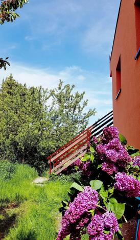 Pronájem bytu 2+1, Praha, Hejtmanská, 54 m2