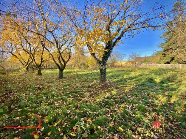 Prodej pozemku pro bydlení, Otice, Rybníčky, 1049 m2