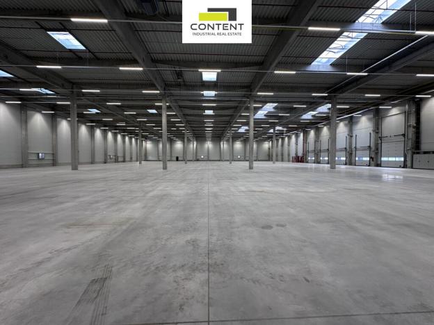 Pronájem výrobních prostor, Pardubice - Rosice, Salavcova, 4000 m2