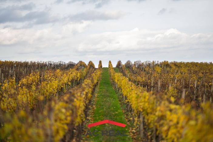 Prodej bytu 2+kk, Strachotín, Šakvická, 46 m2