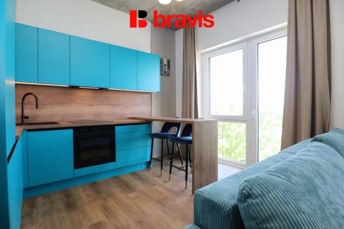 Pronájem bytu 1+kk, Brno - Horní Heršpice, Bohunická, 35 m2