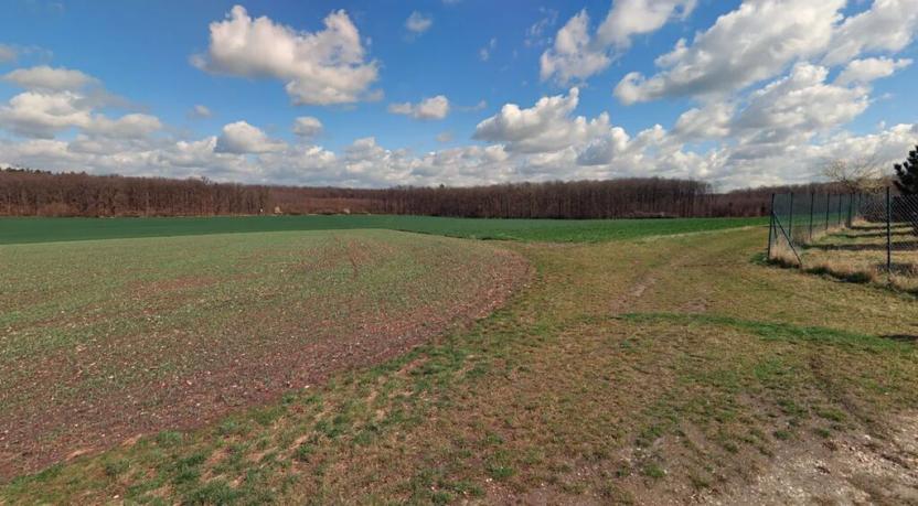 Prodej pole, Lišice, 205582 m2