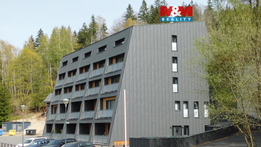 Pronájem bytu 1+kk, Janov nad Nisou, 25 m2