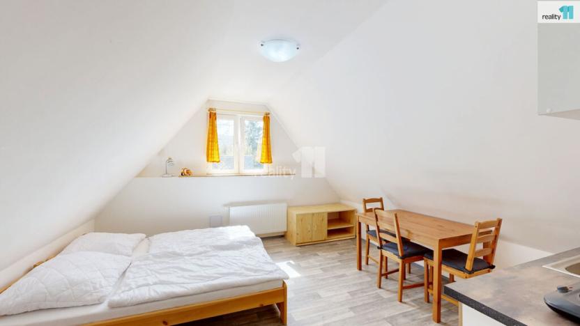 Pronájem ubytování, Loučná pod Klínovcem - Loučná, 370 m2