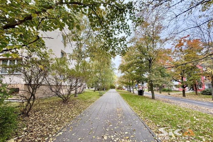 Prodej bytu 3+1, Louny, Přemyslovců, 80 m2