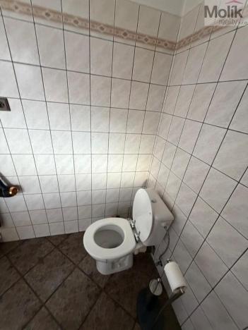 Prodej rodinného domu, Modlany - Věšťany, 268 m2