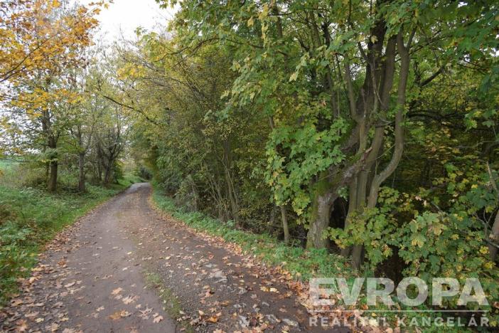 Prodej chalupy, Samopše - Mrchojedy, 71 m2