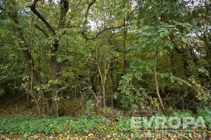 Prodej chalupy, Samopše - Mrchojedy, 71 m2