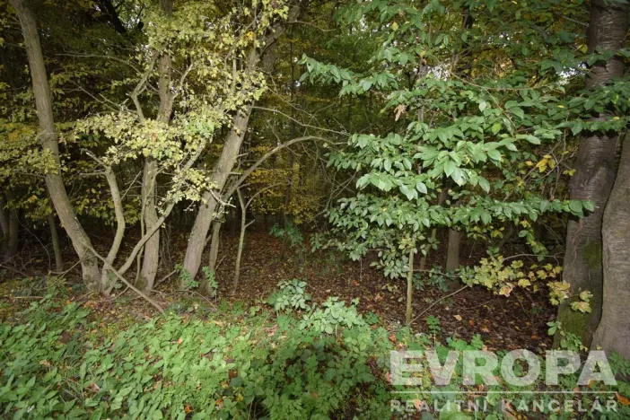 Prodej chalupy, Samopše - Mrchojedy, 71 m2